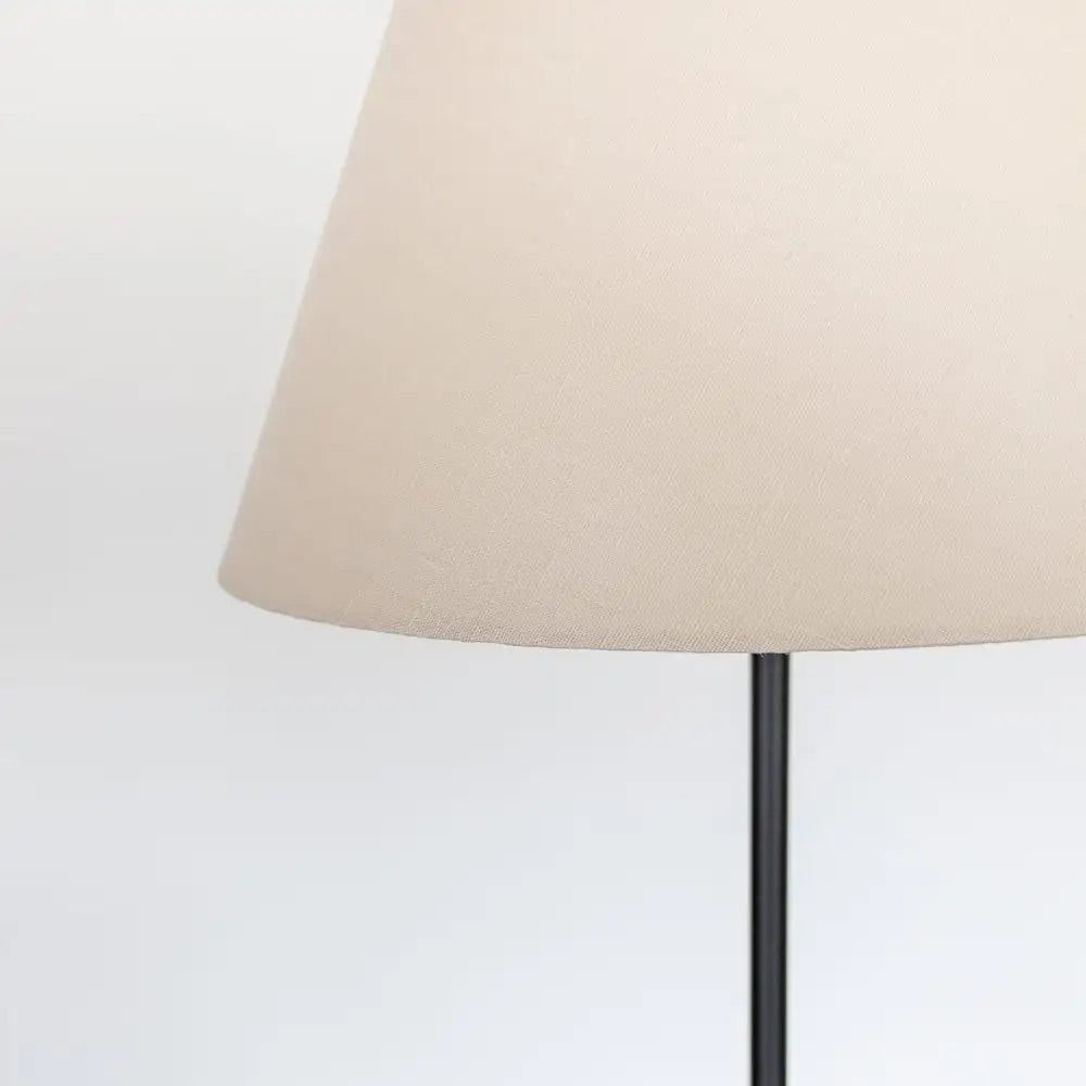 Iron Tripod Floor Lamp