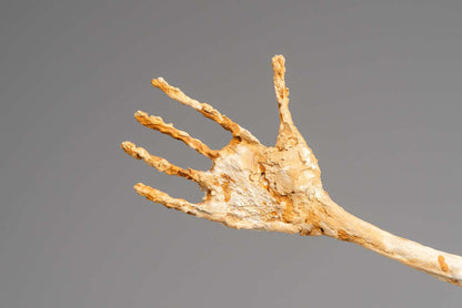 The hand sculpture after Alberto Giacometti France 1960s